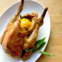 A picture of Roasted Guinea fowl.