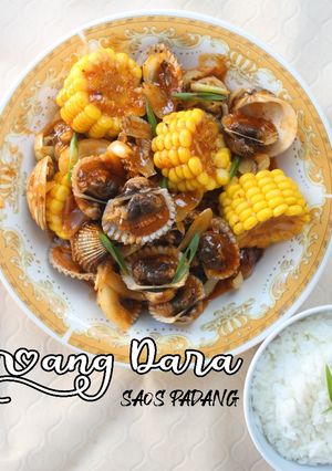 Foto resep Kerang Dara Saos Padang Simpel
