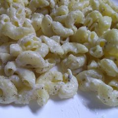 A picture of White sauce pasta.