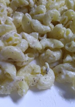 A picture of White sauce pasta.