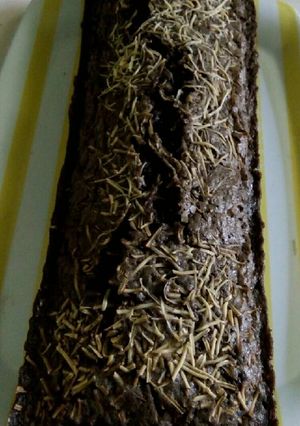 Foto resep Brownies Panggang