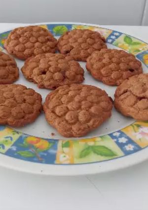 Una foto de Galletitas tipo Granix