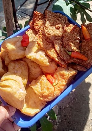 Foto resep Tahu Tempe goreng Garing
