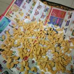 รูปของ Biji ketapang ngeprul