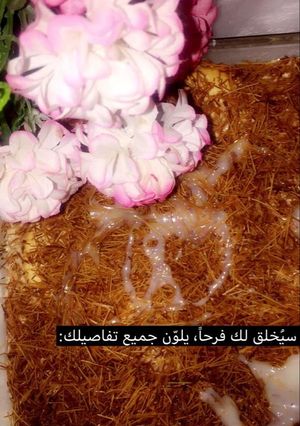 صورة لوصفة اسهل حلى الخشخش