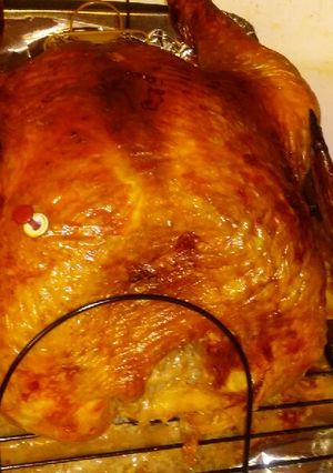 A picture of Seasoned Turkey.