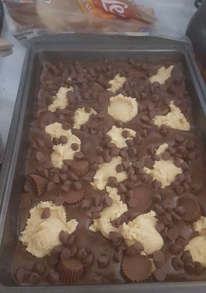 A picture of Chocolate Peanut Butter Earthquake Cake.