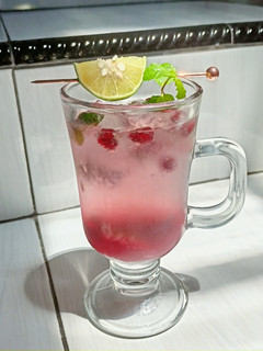 Foto resep Pomegranate Mojito ✨