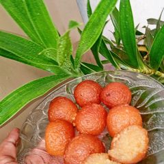 A picture of Mouth melting Gulab Jamun 🤤🤤🤤.