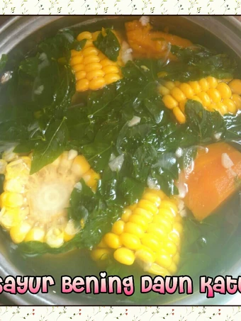Cara Mudah Membikin Resep  Sayur bening daun katu yang Lezat Sekali, Sempurna