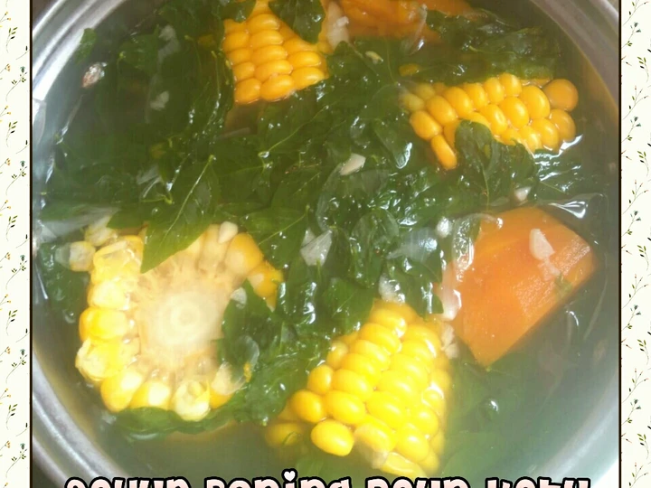 Cara Simple Membuat Resep  Sayur bening daun katu yang Menggugah Selera, Enak