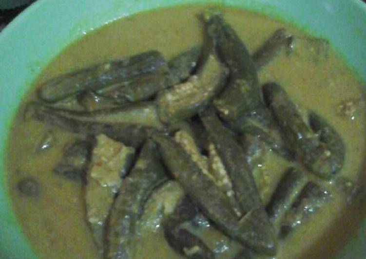 Gule terong telunjuk