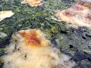 Una foto de tortilla de espinaca sencilla