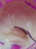 Mousse de suco em pó 3 ingredientes