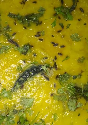 A picture of Mung dal.