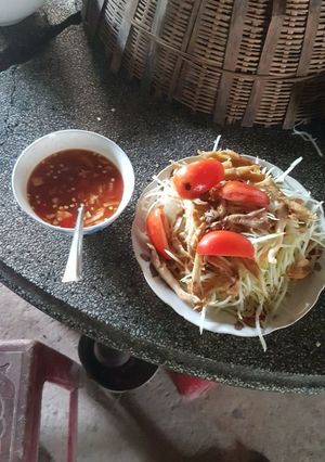 Hình của món Gỏi đu đủ thái chay.