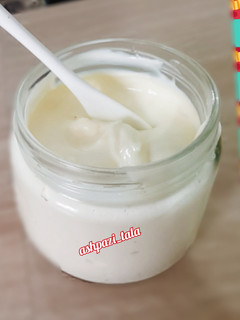 عکسی از دستور سس مایونز خانگی