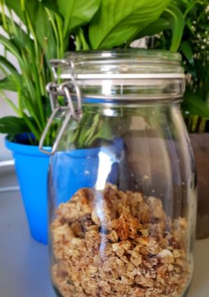 Una foto de Granola hecha en casa!
