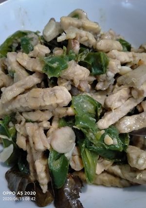 Foto resep Oseng tempe semangit