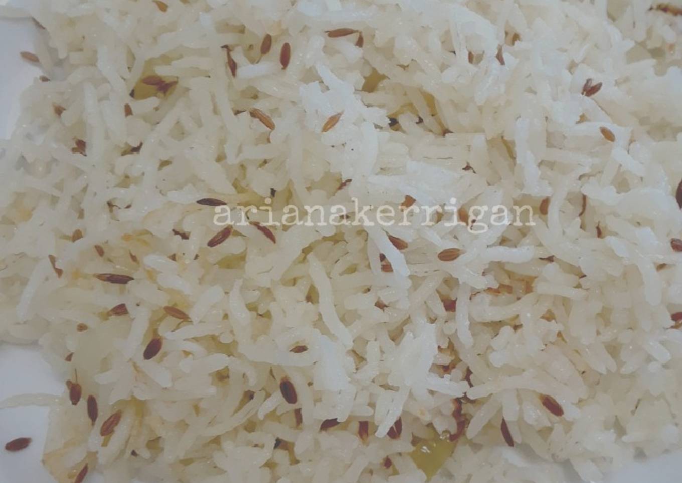 Basmati rice, nasi India