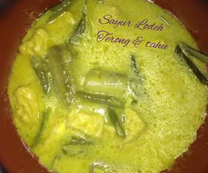 Cara Memasak Cepat Sayur lodeh terong tahu Paling Enak