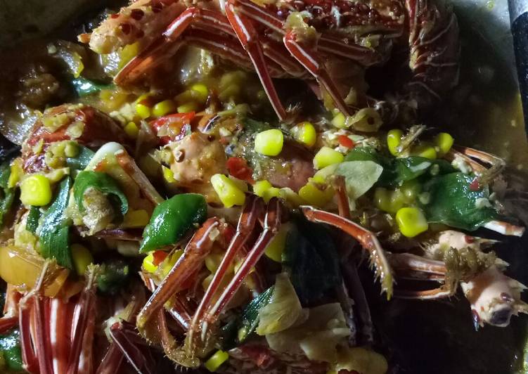 Cara Gampang Membuat Lobster Karimunjawa saus padang Anti Gagal