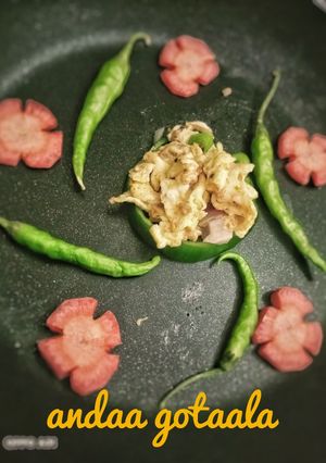 A picture of Anda gotaala.