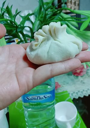 Hình của món Sủi cảo nhân tôm thịt.