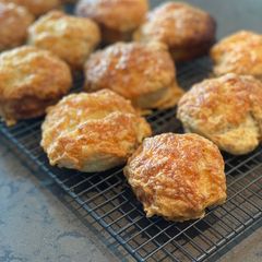 Cheese Scones A picture of Cheese Scones.