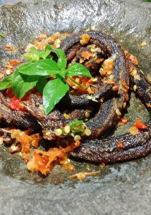 Foto resep Sambel Welut