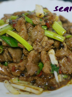 嗜辣者推超下飯的豉椒肉絲(蔭豉辣炒肉絲) 的食譜成品照片