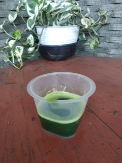 Foto resep Jus Pandan