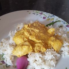 A picture of Chicken curry.