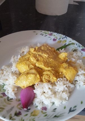 A picture of Chicken curry.