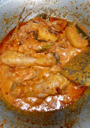 Foto resep Rendang ayam kentang simple