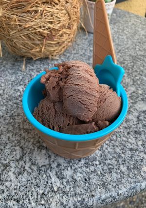 Foto di Gelato al gianduia