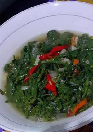 Foto resep Tumis Pakis