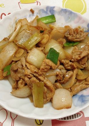 蔥爆洋蔥豬肉 的食譜成品照片