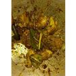 Ayam Bumbu Kari