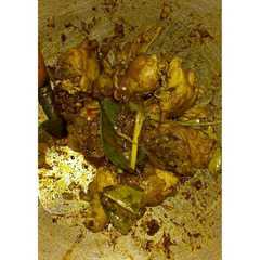 A picture of Ayam Bumbu Kari.