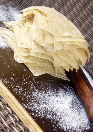 Samosa wraps ainihin hoton girkin