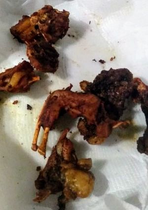 Foto de Carne de Jacaré a passarinho
