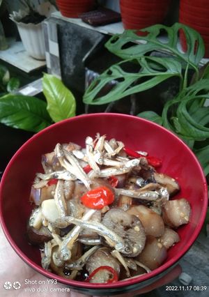Foto resep Oseng terong teri pedas