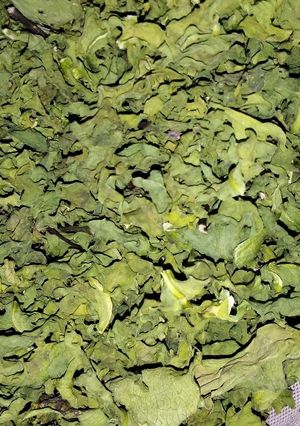 عکسی از دستور کاردو خشک شده