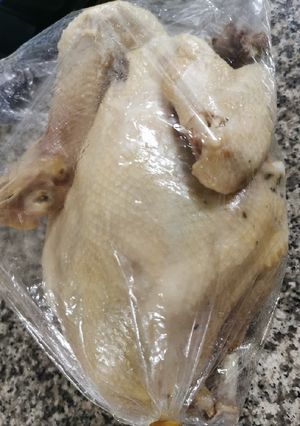 รูปของ ไก่ต้ม (ทำไว้ไหว้ตรุษจีน)