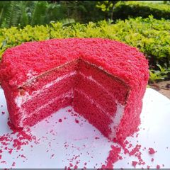 A picture of Red velvet cake/cupcakes.