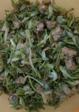 Foto resep Oseng bunga pepaya plus tempe