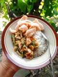 Rujak Sayur Pekalongan