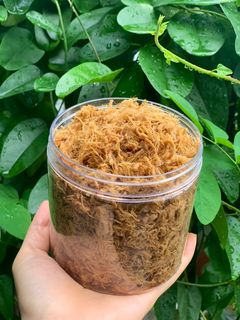 Hình của món Chà bông heo Đài Loan 🇹🇼.