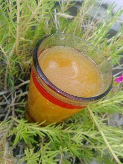 बेल शरबत (Bel sharbat recipe in Hindi) रेसिपी मुख्य फोटो
